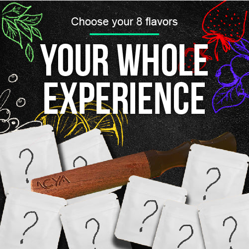 Your Whole Experience