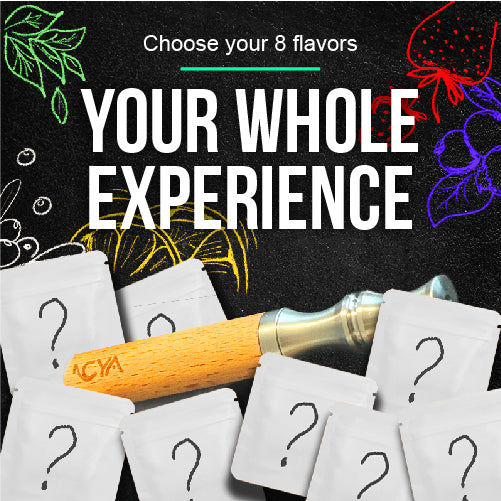 Your Whole Experience