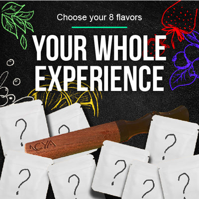 Your Whole Experience